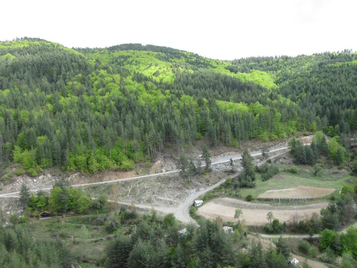 Hotel Deyanira Gorno Dryanovo ภายนอก รูปภาพ