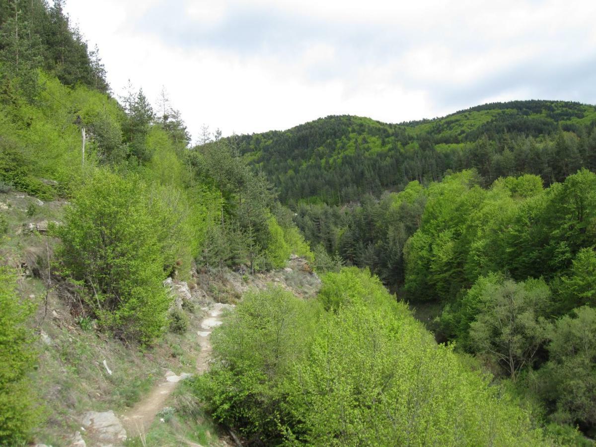 Hotel Deyanira Gorno Dryanovo ภายนอก รูปภาพ